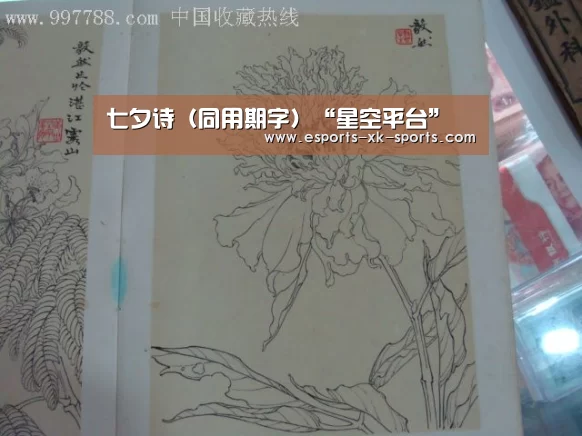 星空官网