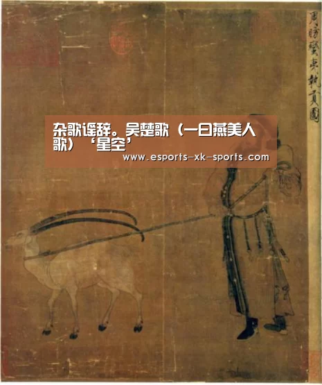 星空体育APP